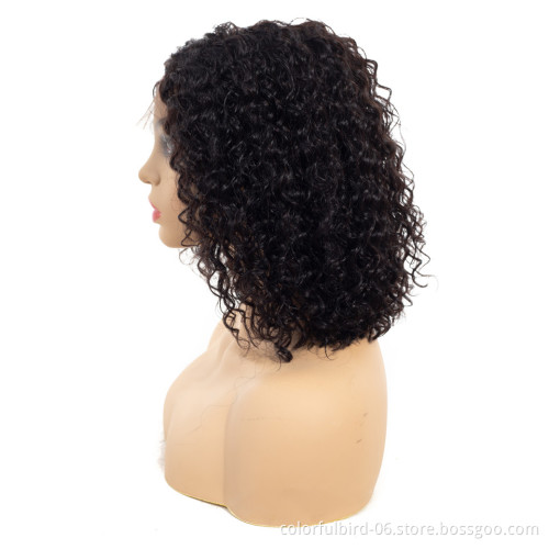 Natural Middle Peruvian Mink jerry curly Wig with 4x4 Closure Transparent HD Lace closure human hair wig curly